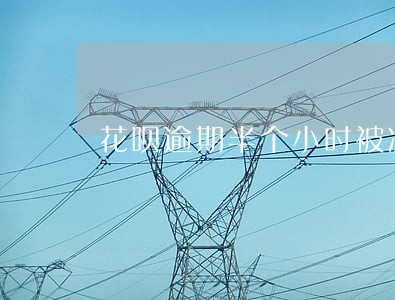 花呗逾期半个小时被冻结了 花呗逾期半个小时被冻结了