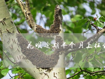 花呗逾期半个月上征信不 花呗逾期半个月上征信不