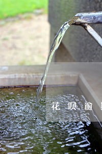 花呗逾期半个月会上征信嘛 花呗逾期半个月会上征信嘛