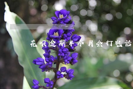 花呗逾期半个月会打电话吗 花呗逾期半个月会打电话吗