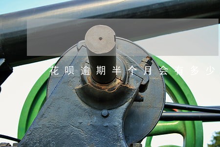 花呗逾期半个月会有多少钱 花呗逾期半个月会有多少钱