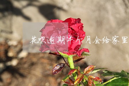 花呗逾期半个月会给家里打电话吗 花呗逾期半个月会给家里打电话吗