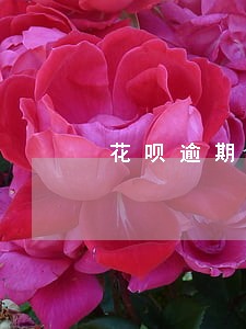 花呗逾期半个月借呗会降额吗 花呗逾期半个月借呗会降额吗