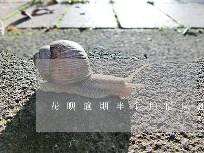 花呗逾期半个月借呗还能用么 花呗逾期半个月借呗还能用么