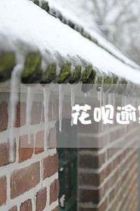 花呗逾期半个月借呗逾期20天 花呗逾期半个月借呗逾期20天