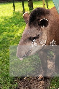 花呗逾期半个月后果如何 花呗逾期半个月后果如何