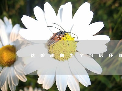 花呗逾期半个月后还款还能用吗 花呗逾期半个月后还款还能用吗