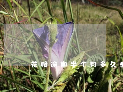 花呗逾期半个月多久恢复 花呗逾期半个月多久恢复