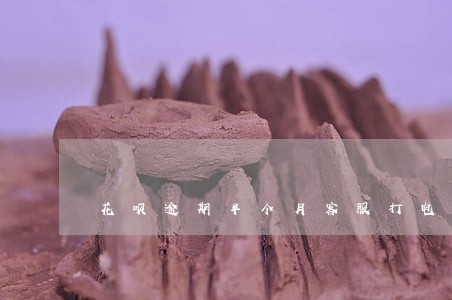 花呗逾期半个月客服打电话说 花呗逾期半个月客服打电话说