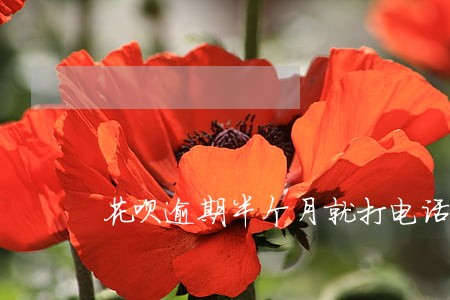 花呗逾期半个月就打电话 花呗逾期半个月就打电话