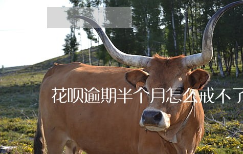花呗逾期半个月怎么戒不了