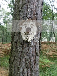 花呗逾期半个月怎么算罚金 花呗逾期半个月怎么算罚金