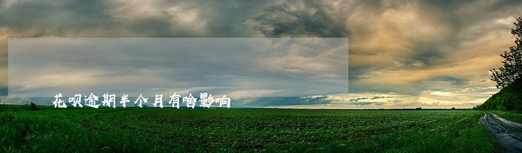花呗逾期半个月有啥影响 花呗逾期半个月有啥影响