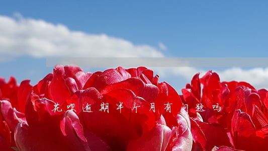 花呗逾期半个月有问题吗 花呗逾期半个月有问题吗