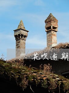 花呗逾期半个月没事吧 花呗逾期半个月没事吧