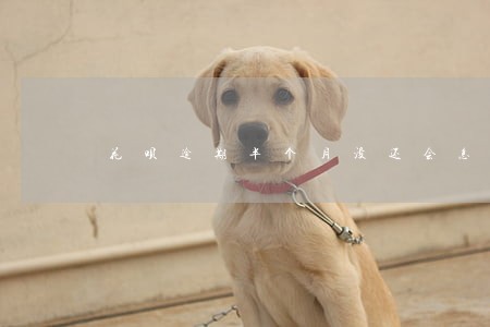 花呗逾期半个月没还会怎样 花呗逾期半个月没还会怎样