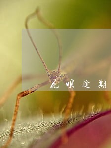 花呗逾期半个月能怎么样 花呗逾期半个月能怎么样