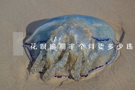 花呗逾期半个月要多少违约金 花呗逾期半个月要多少违约金