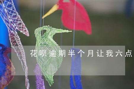 花呗逾期半个月让我六点还清 花呗逾期半个月让我六点还清