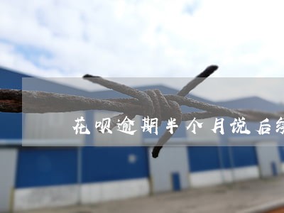 花呗逾期半个月说后续走法律程序 花呗逾期半个月说后续走法律程序