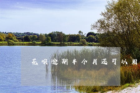 花呗逾期半个月还可以用吗 花呗逾期半个月还可以用吗