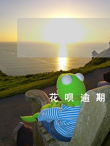 花呗逾期半个月还完款还能用吗 花呗逾期半个月还完款还能用吗