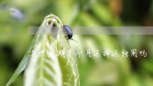 花呗逾期半个月还掉还能用吗 花呗逾期半个月还掉还能用吗