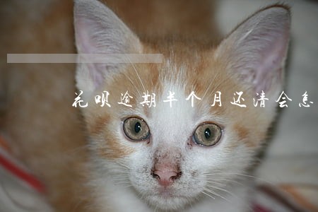 花呗逾期半个月还清会怎么样 花呗逾期半个月还清会怎么样