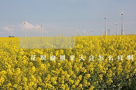 花呗逾期半天会怎么样啊 花呗逾期半天会怎么样啊