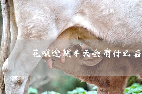 花呗逾期半天会有什么后果 花呗逾期半天会有什么后果