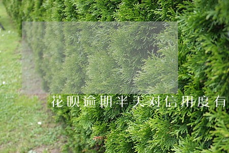 花呗逾期半天对信用度有影响吗 花呗逾期半天对信用度有影响吗