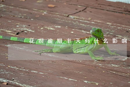 花呗逾期半天有什么影响 花呗逾期半天有什么影响