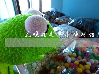 花呗逾期半小时对信用度有影响吗 花呗逾期半小时对信用度有影响吗