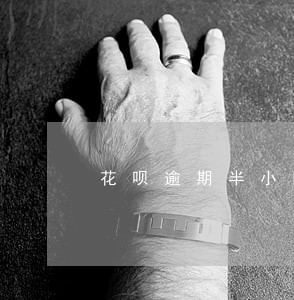 花呗逾期半小时有记录 花呗逾期半小时有记录