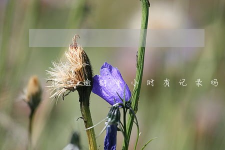 花呗逾期半小时有记录吗 花呗逾期半小时有记录吗