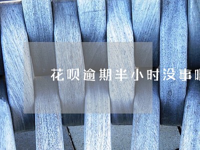 花呗逾期半小时没事吧 花呗逾期半小时没事吧