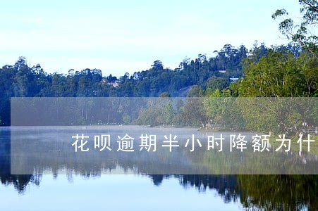 花呗逾期半小时降额为什么不能用 花呗逾期半小时降额为什么不能用