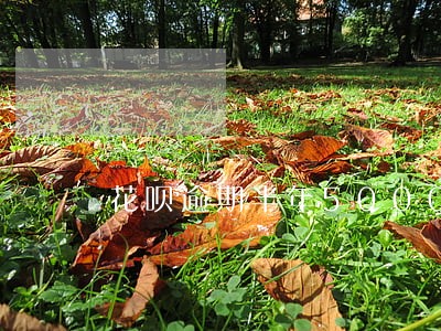 花呗逾期半年5000现在咋办 花呗逾期半年5000现在咋办