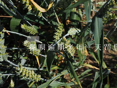 花呗逾期半年一天罚息多少 花呗逾期半年一天罚息多少