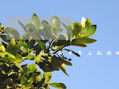 花呗逾期半年上征信吗6 花呗逾期半年上征信吗6