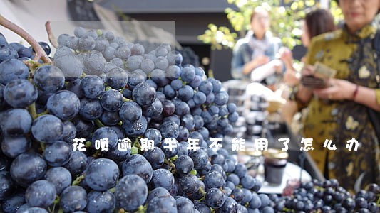 花呗逾期半年不能用了怎么办 花呗逾期半年不能用了怎么办