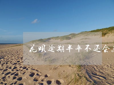 花呗逾期半年不还会怎么样 花呗逾期半年不还会怎么样