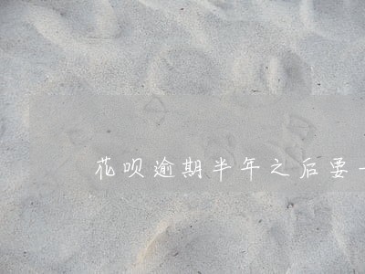花呗逾期半年之后要一次还完吗 花呗逾期半年之后要一次还完吗