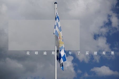 花呗逾期半年了买班车票吗 花呗逾期半年了买班车票吗