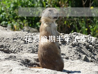 花呗逾期半年了咋办 花呗逾期半年了咋办