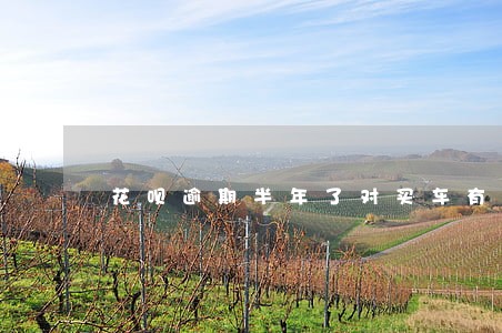 花呗逾期半年了对买车有影响吗 花呗逾期半年了对买车有影响吗