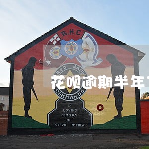花呗逾期半年了对额度有影响 花呗逾期半年了对额度有影响