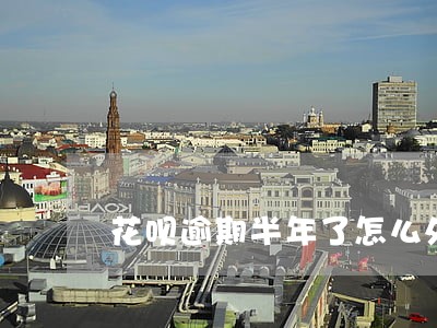 花呗逾期半年了怎么处理 花呗逾期半年了怎么处理