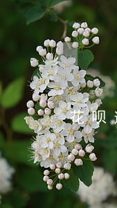 花呗逾期半年了怎么还款 花呗逾期半年了怎么还款