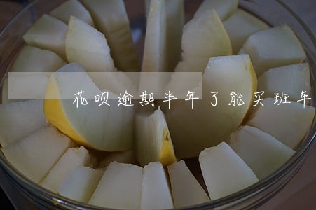 花呗逾期半年了能买班车票吗 花呗逾期半年了能买班车票吗
